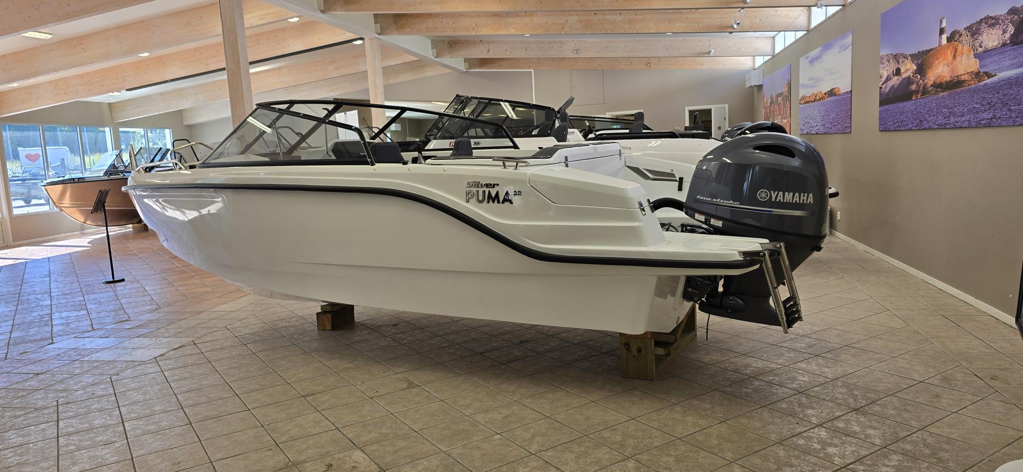 Silver Puma BR 2026 / Yamaha F100LB bild 4
